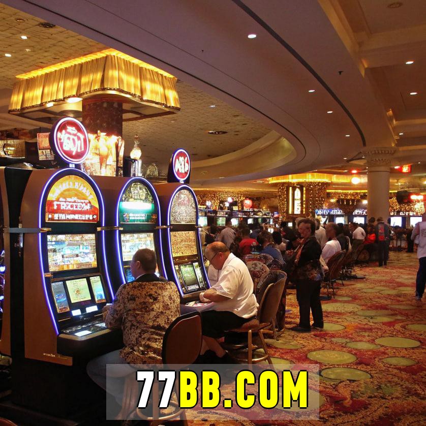vivo no cassino 77bb.com